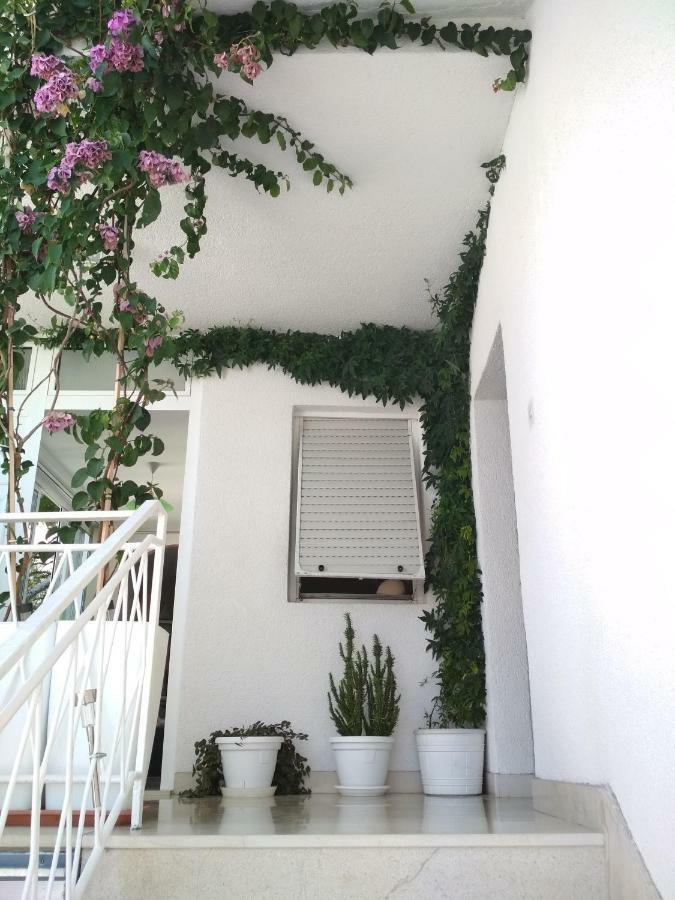 Apartmani Carevic Baška Voda Extérieur photo